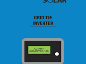 Different Price Ranges Varieties Solar Inverter LoomSolar