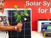 Install Solar Panels Home Generate Electricity Earn Money