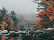 Dealing with Darker Days