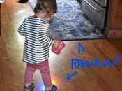 Rainbows Flowers Josie