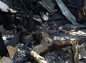 Popular Pastor Sets Himself Fire, Burns Ashes Port Harcourt (Graphics Photos)