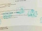‘WAEC Gave Political Certificate’ Insists That Buhari School Certificate