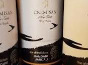 Levant Ancient Area Winemaking