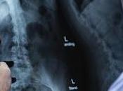 November Is... (Includes Printable Freebies)