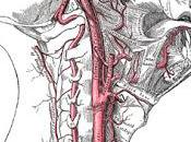 Friday Q&amp;A: Carotid Artery Stents, Baroreceptors, Inverted Poses