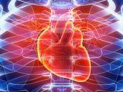 Management Blood Cholesterol Just Personal