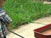 November 15th Is... (Includes Printable Freebies)