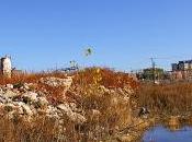 Near Remains Leer Chocolate Factory, Years