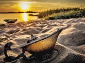 November 25th Freebies!