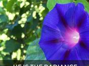 Thirty Days Jesus: Redux