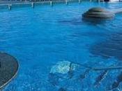 Hotels with Rooftop Pools Hong Kong Best Swimming Experience