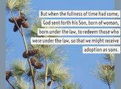 Thirty Days Jesus Redux: