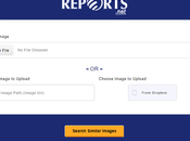 Reverse Image Search Tool Discover Similar Photos