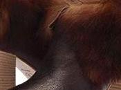 Shoe Ross Snow Angelina Booties