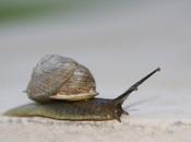 Importance Network Performance