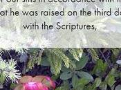 Thirty Days Jesus Redux: Resurrection Central Importance