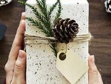 Nature-Friendly Hacks That Will Change Wrap Gifts