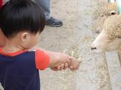 December 27th Freebies!