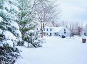 Winter Landscaping Tips Canadian Homeowners