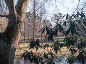 Lest Think Longwood Gardesn Pretty Flowers...