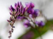 Friday Fotos: Miscellany from Current Stack