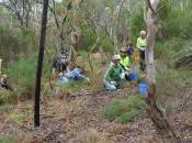 Need Revegetation Council