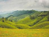 Become With Nature Trip Vagamon- Kerala