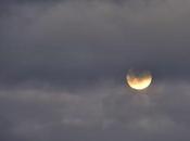 Night Super Wolf Blood Moon Eclipse