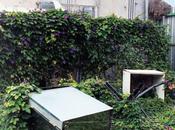 Press Club ‘Late Teens’ Album Review