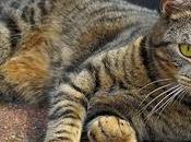 January 22nd Featuring Freebies!