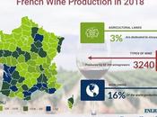 French Wine Production