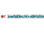 Will Bidding Names NamesCon Live Auction?