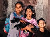 Benefits Buying Your Child Puppy