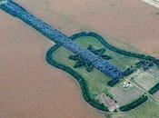 Argentine Farmer Makes Giant Guitar With 7,000 Trees