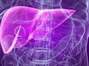 Fatty Liver Secret Cause Many Health Concerns