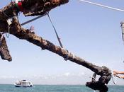 Archaeologists Recover Anchor From Blackbeard's Sunken Pirate Ship