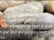 Word Week: Regeneration