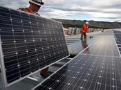 Report Forecasts Promising Future Solar Energy Industry Despite 8000 Losses Previous Year
