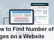 Find Number Pages Website