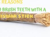 Stupendous Reasons Brush Your Teeth With Miswak Stick