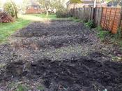 Thinking Making Comeback