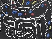 Guts? Let’s Bacteria…