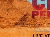 Chili Peppers: Free Webcast from Giza Egypt