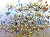 Research Shows Evidence Microplastic Pollution Almost Everywhere Around