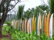 Amazing Garden Fences Made From Recycled Things