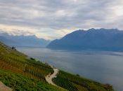 Exploring Wine Switzerland’s Lake Geneva Region