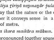 Edappadi Palaniswami Unveils Statue Tholkappiyar