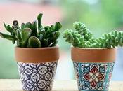 Well-ness Centric Houseplants Purifying Indoors﻿