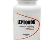 Leptovox Review 2019 Side Effects Ingredients