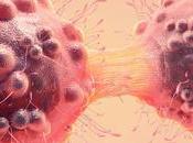 Researchers Explore Link Between Sugar, Insulin, Keto, Cancer